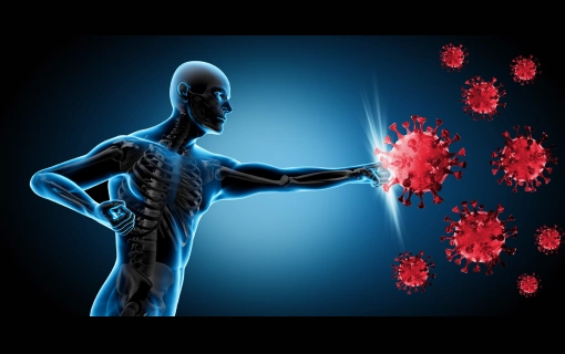 Bağışıklık Sistemi Nedir? Bağışıklık Sistemini Güçlendirecek Öneriler