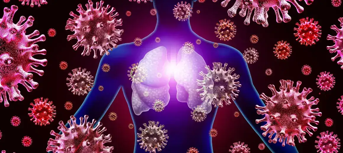Bağışıklık Sistemi Organları Nelerdir?