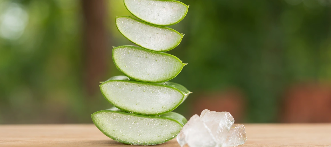 aloe vera nelere iyi gelir